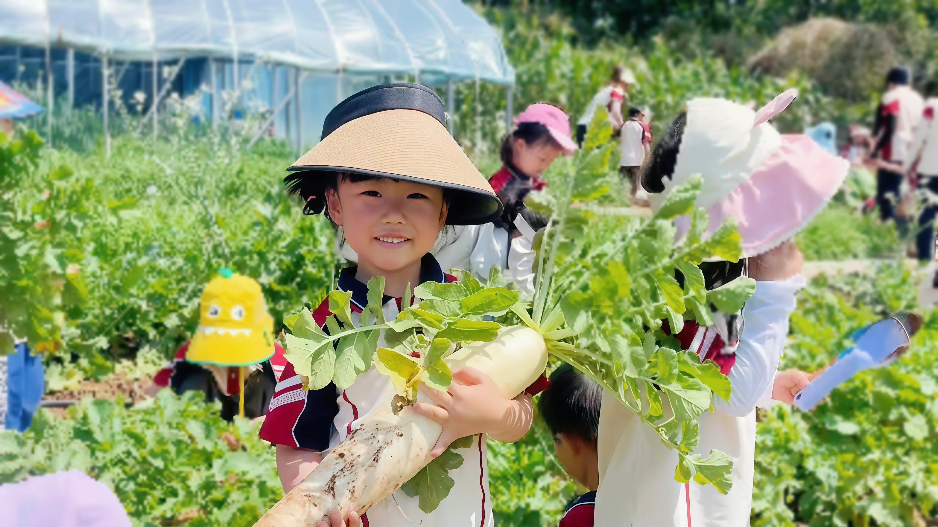 家有2 - 6岁孩子，想给孩子选一所私立幼儿园，却又担心踩坑，不知道该如何选择靠谱的幼儿园？