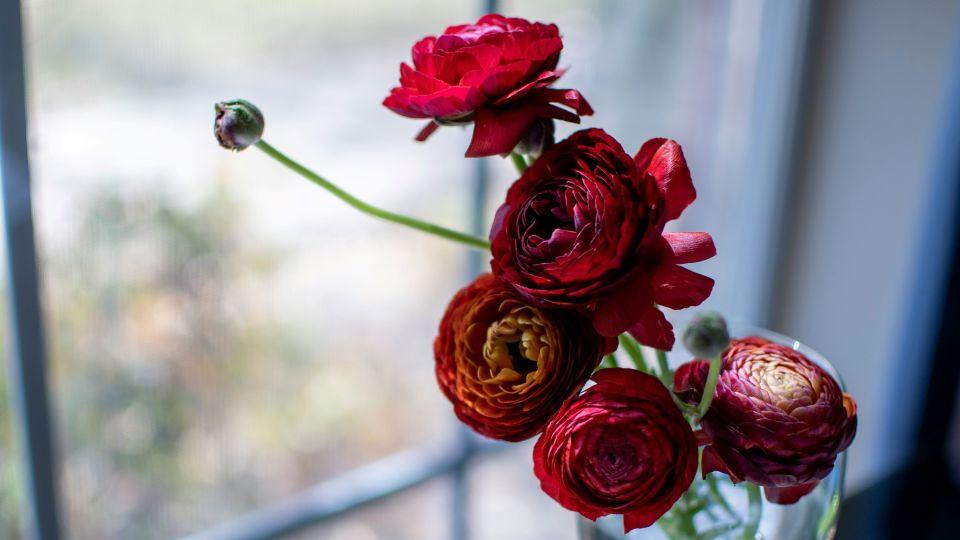 亲戚婚礼遇上讨债，新娘借钱不还被堵在家门口，真糟心！