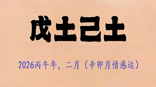 日干“戊己土”，2026丙午年，二月（辛卯月情感运）