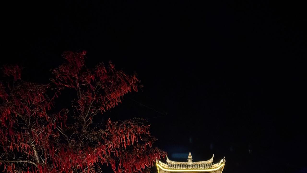 周末游学新玩法！做一日「小小进士」，解锁古镇文脉 + 非遗手作沉浸式游学