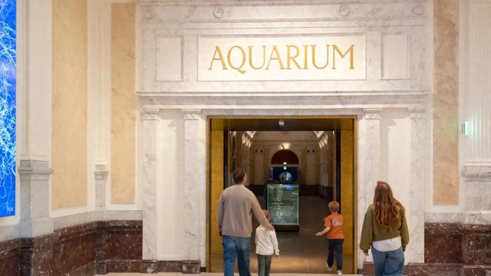 潜水镜可抵门票？阿姆斯特丹ARTIS水族馆开幕，14日起正常参观