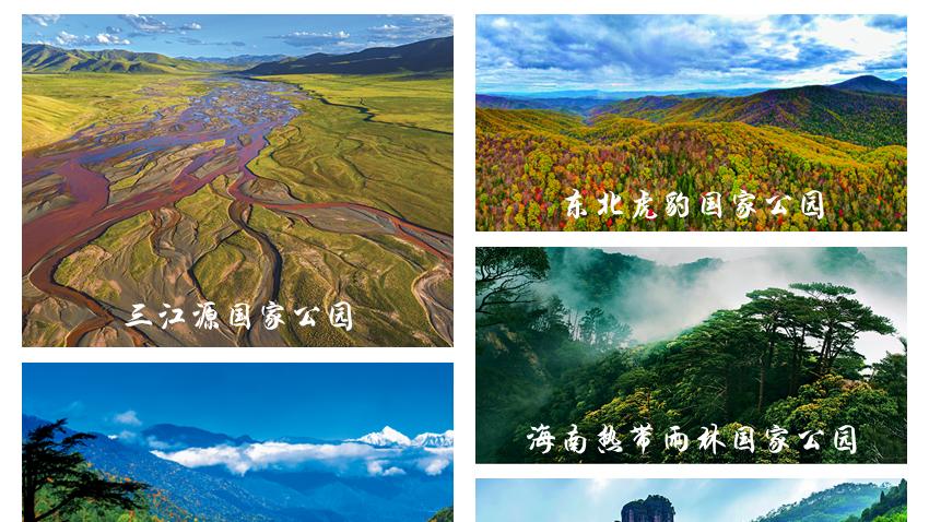 武夷山国家公园系列纪念币最快本周公告发行，何时预约兑换？