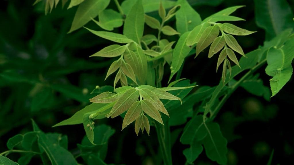 并购不再“讲故事”