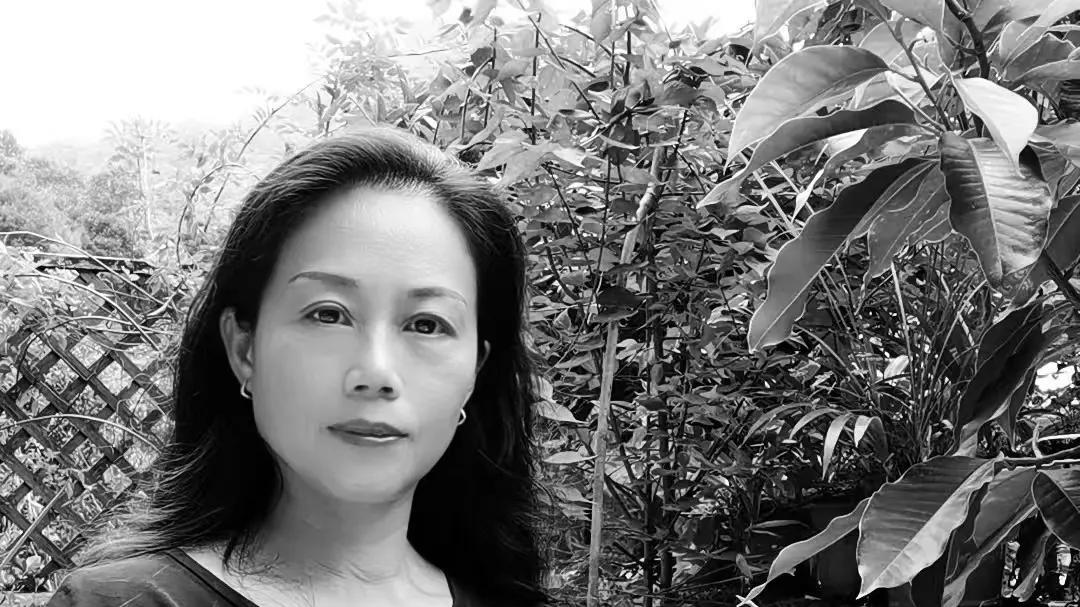 刘小萍——2026年投资必看中国艺坛最值得收藏的书画家TOP20