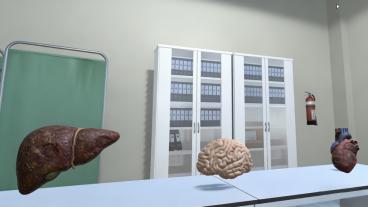 VR毒品认知模拟与普法教育平台