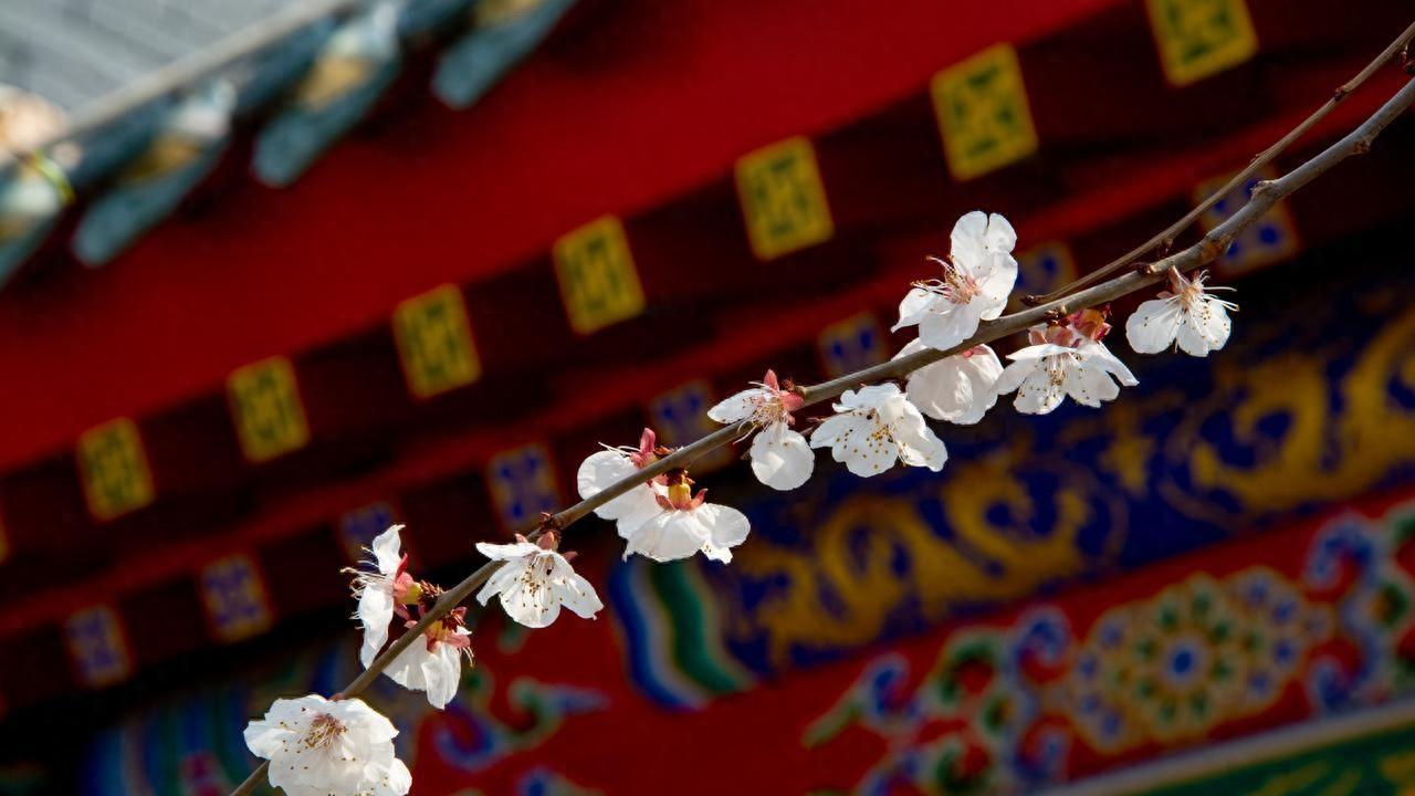 万能高情商说话方式：42个全场景话术，让你走到哪都很招人喜欢