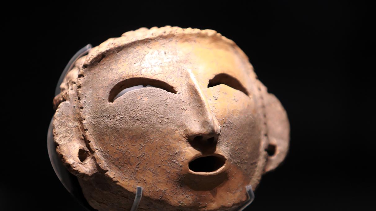 华山玫瑰，何以为“华夏之花”？