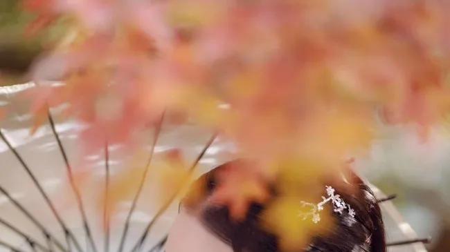 余生，做一个不太懂事的人！