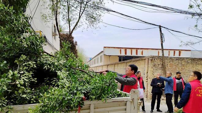 运城市园林绿化服务中心党员干部走进帮扶社区开展绿化提升行动
