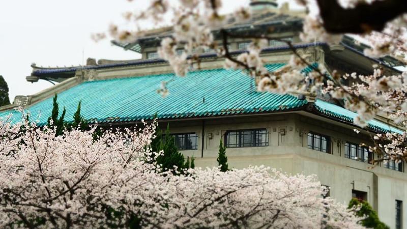 实力旗鼓相当的2所985，武汉大学和中山大学怎么选？