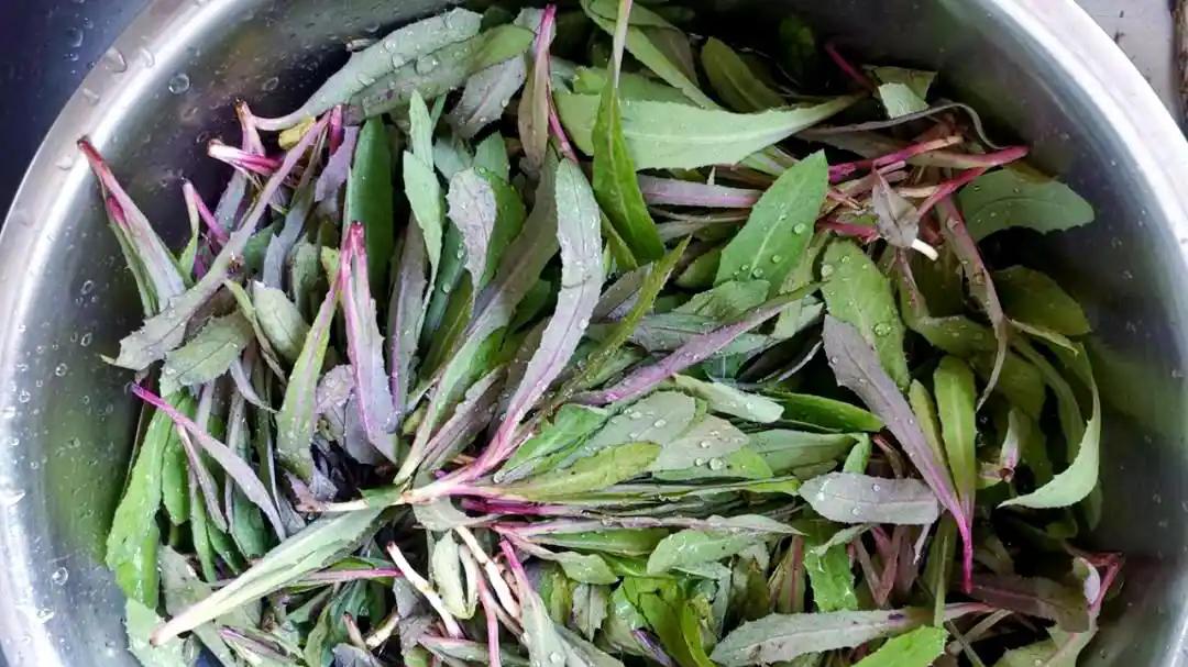 东北人“最爱”的8大“野菜”，农村人“上山抢”，城里人“高价买”