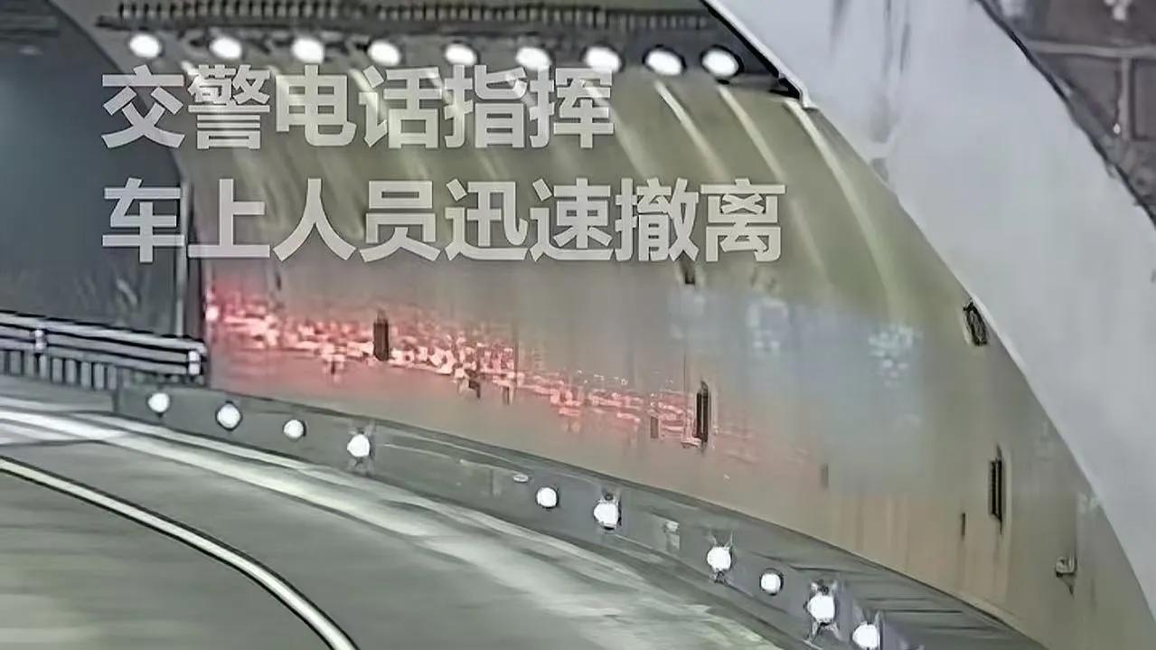 20秒生死时速！浙江高速隧道惊魂一幕，交警一通电话救下4条人命！