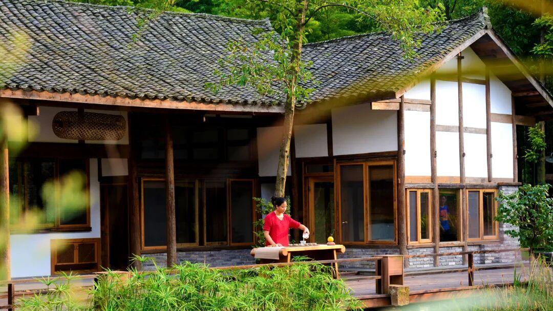 “4+1+2”！邛崃在第五届金芙蓉名牌及双年奖上收获满满！