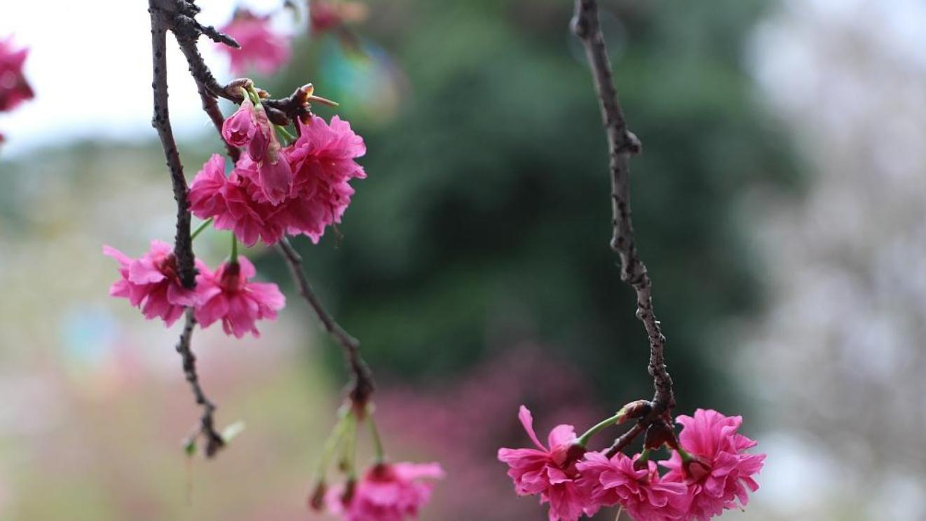 男人背叛回归后，他心里觉得更对不起谁？真实答案出乎意料