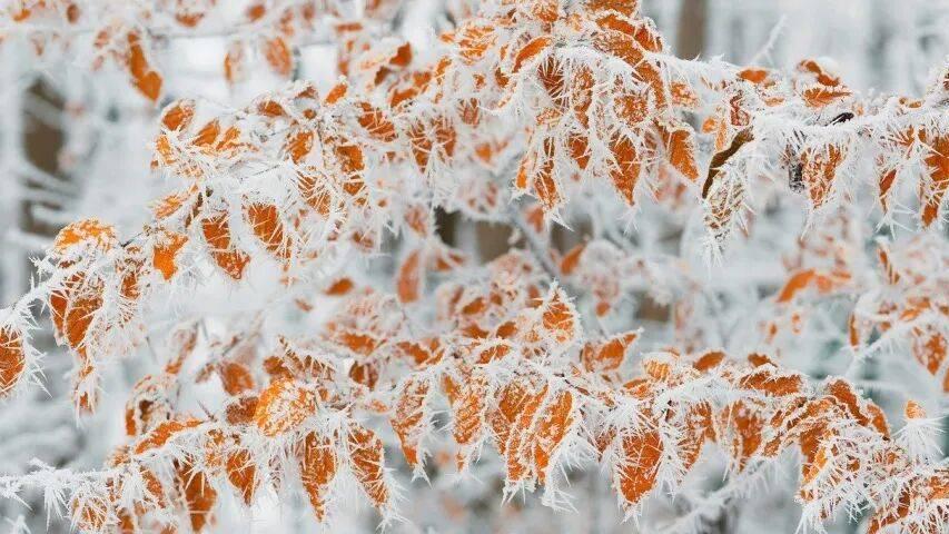 家电零售线上线下一体化藏陷阱