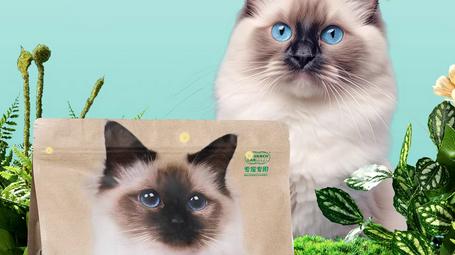 什么猫粮品牌最好性价比高？汇总分享2026年十大放心猫粮品牌