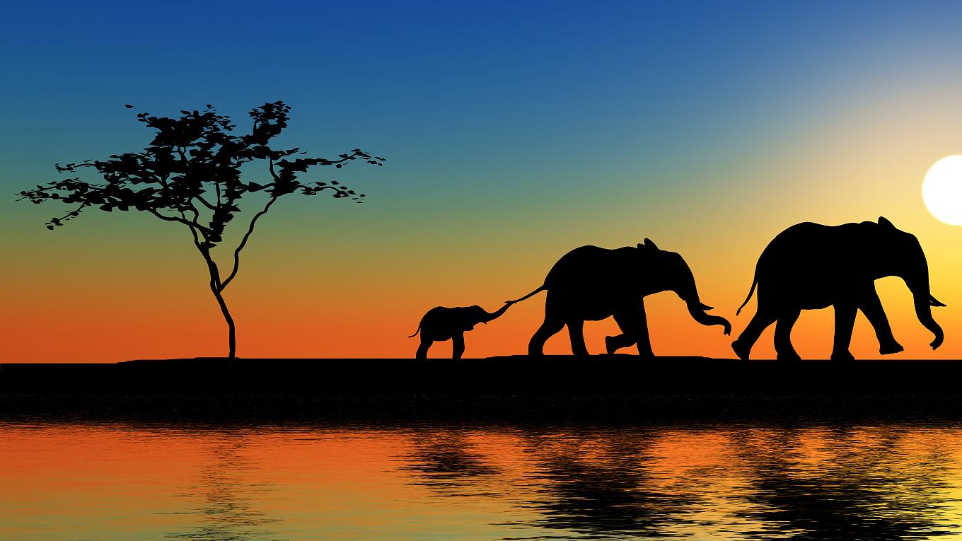 大象起舞，百亿基金里都有哪些领跑者