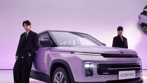 日落暮色里的心动紫，开在路上都是风景