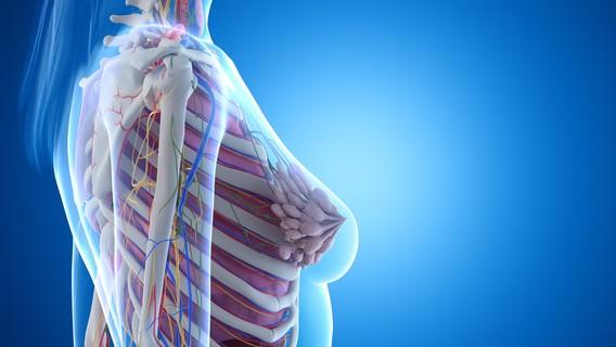乳腺微创手术切错腺体、医院还隐瞒真相？这样维权能拿到足额赔偿