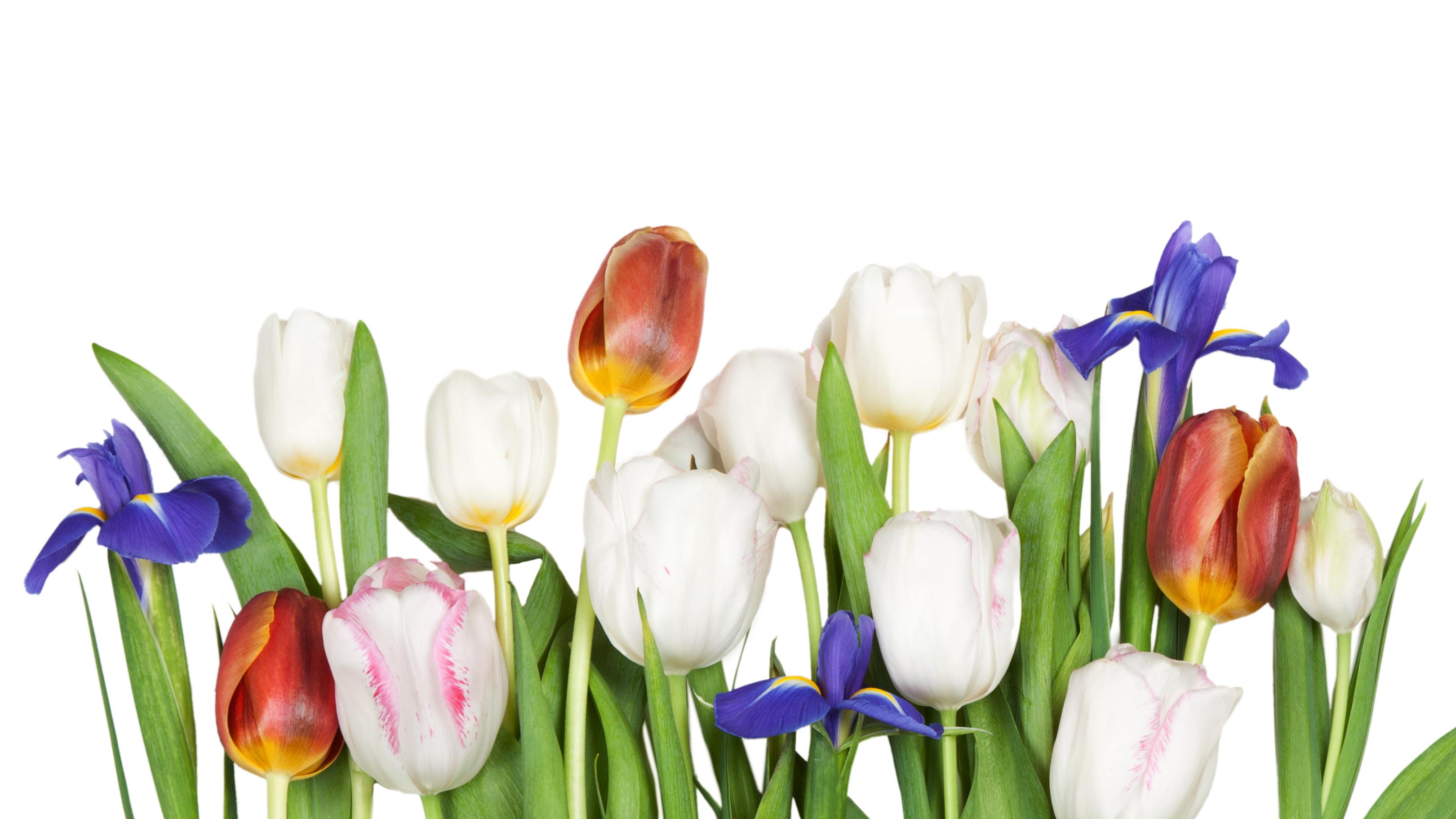 基金费改“温和落地”的真实信号