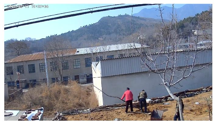 农村老家笔话：春日砌照壁挖树的朴素愿望