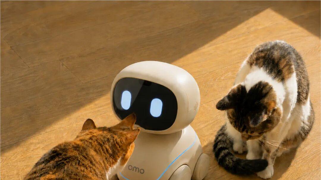 一只叫OMO的猫，在张江AI小镇催生了一家OPC