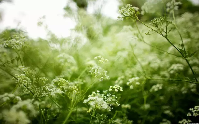 那个最在乎你的人，还在原地等你吗？