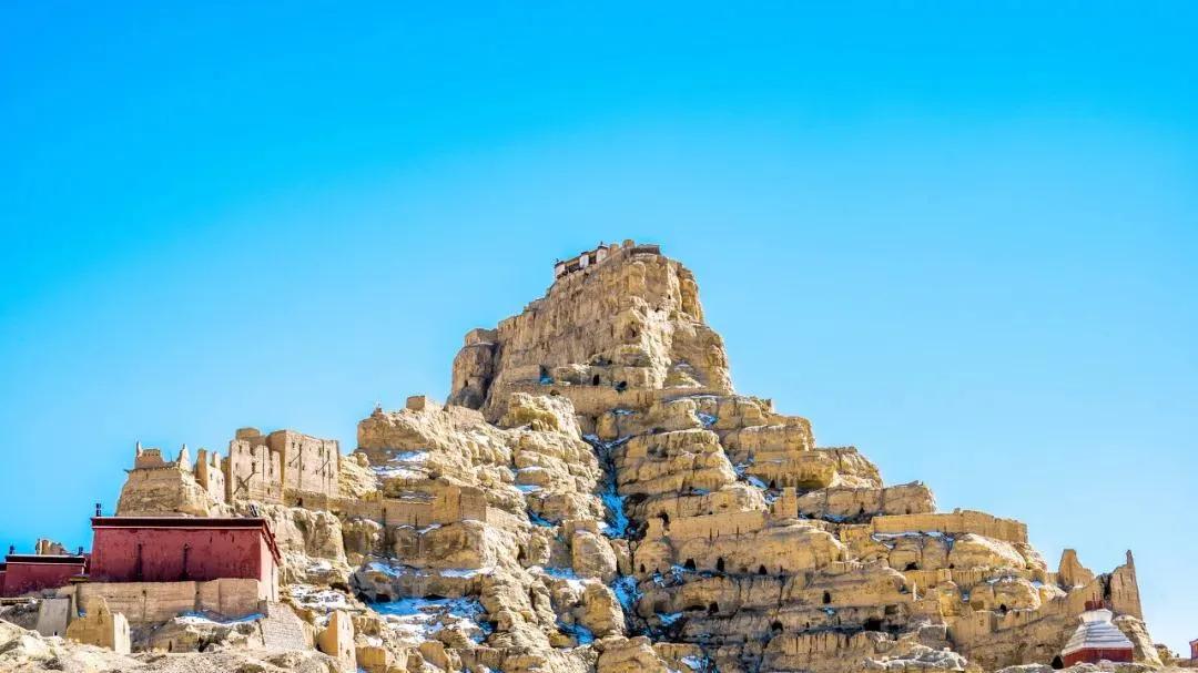 找到自己的生存之道