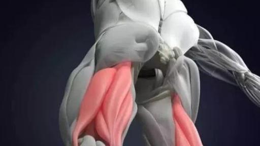 腿上这块肌肉比皱纹更早预示衰老，3个动作拉开它，腰、膝气血就顺畅了