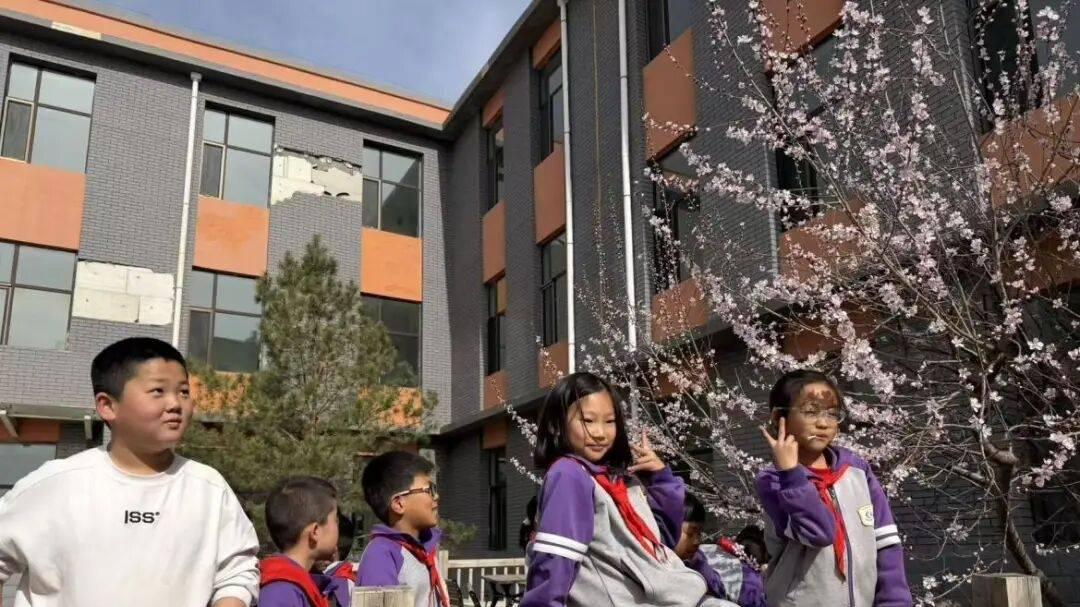 以劳启智 以耕育心——伊金霍洛旗台格小学诚信果园劳动实践课赋能学子成长