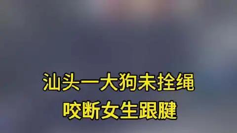 为什么行政和执法力量会屈服于动保势力，背后的故事让人暖心