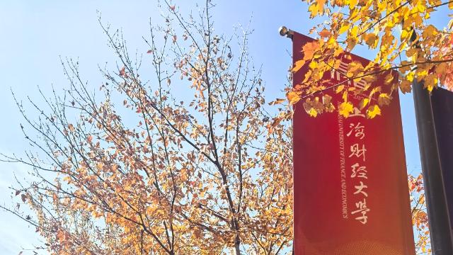 上海财经大学分数线怎么样？物理类645分！理工科也是顶流！