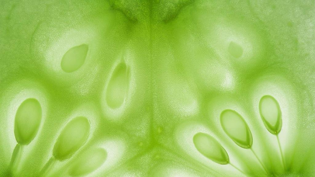 读懂中国现代化，其实是在读另一种增长逻辑