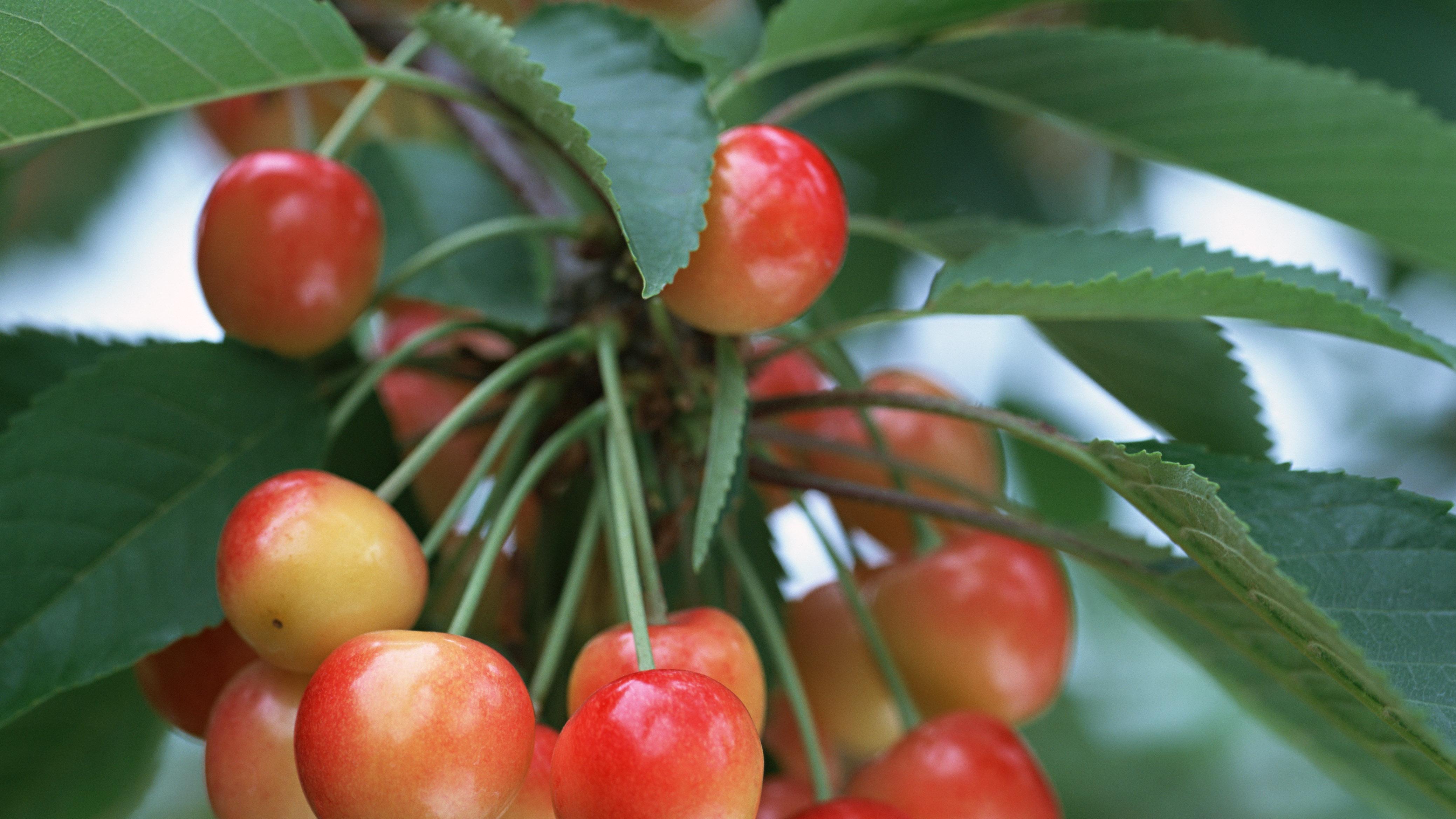 2026楼市转型：不是没人买房是不闭眼买