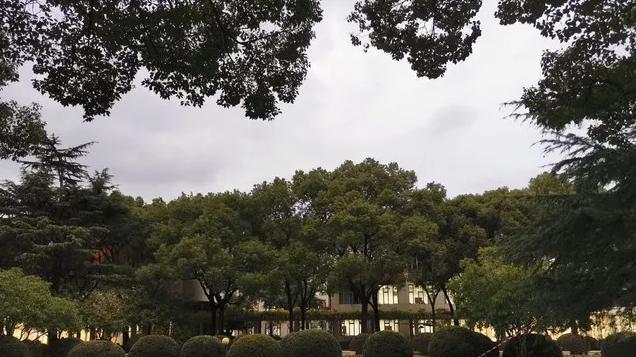 2025重庆高考：上海财经大学分数线怎么样？653分！