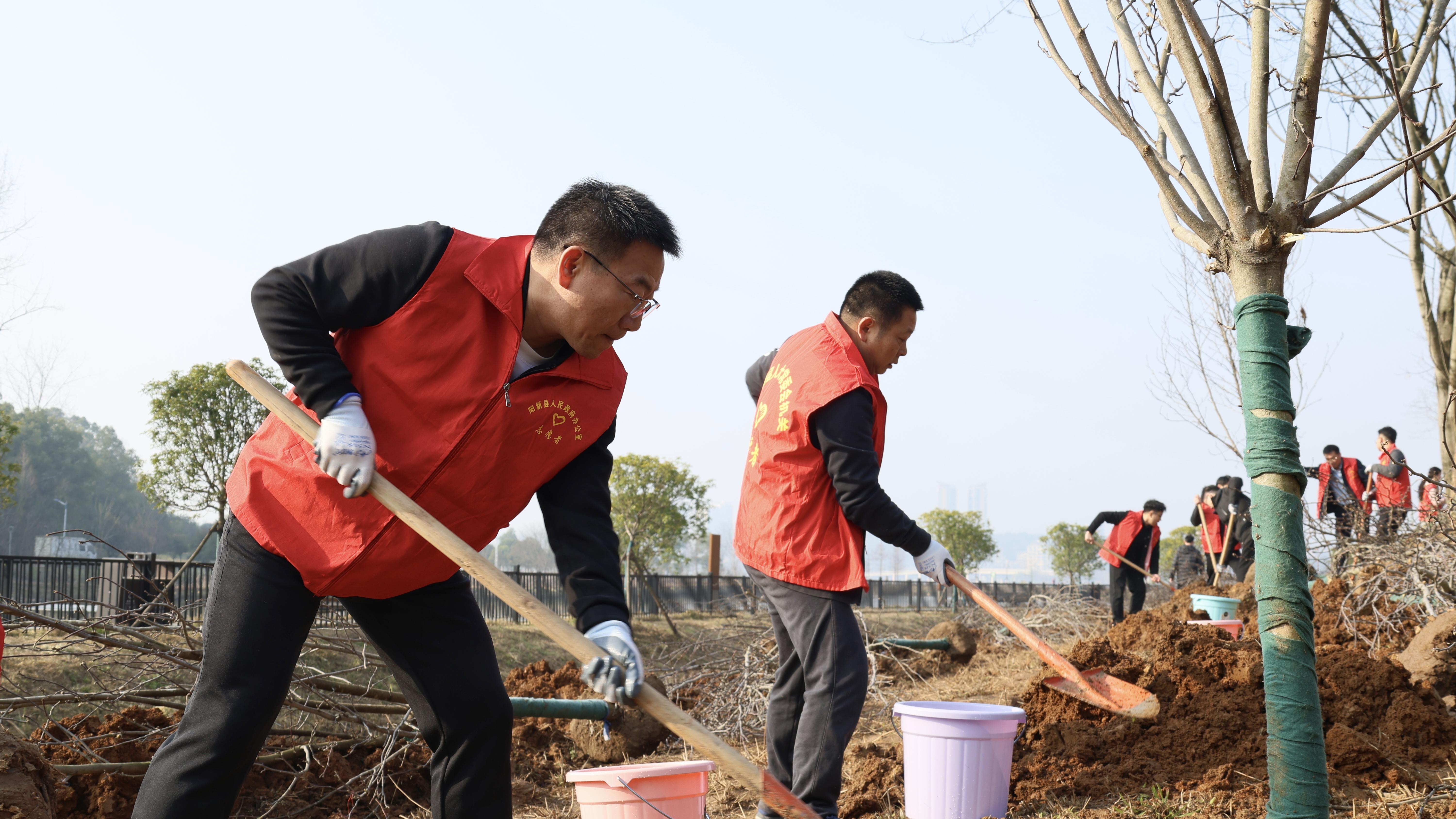 阳新县开展2026年集中义务植树活动 为莲花湖公园再添新绿
