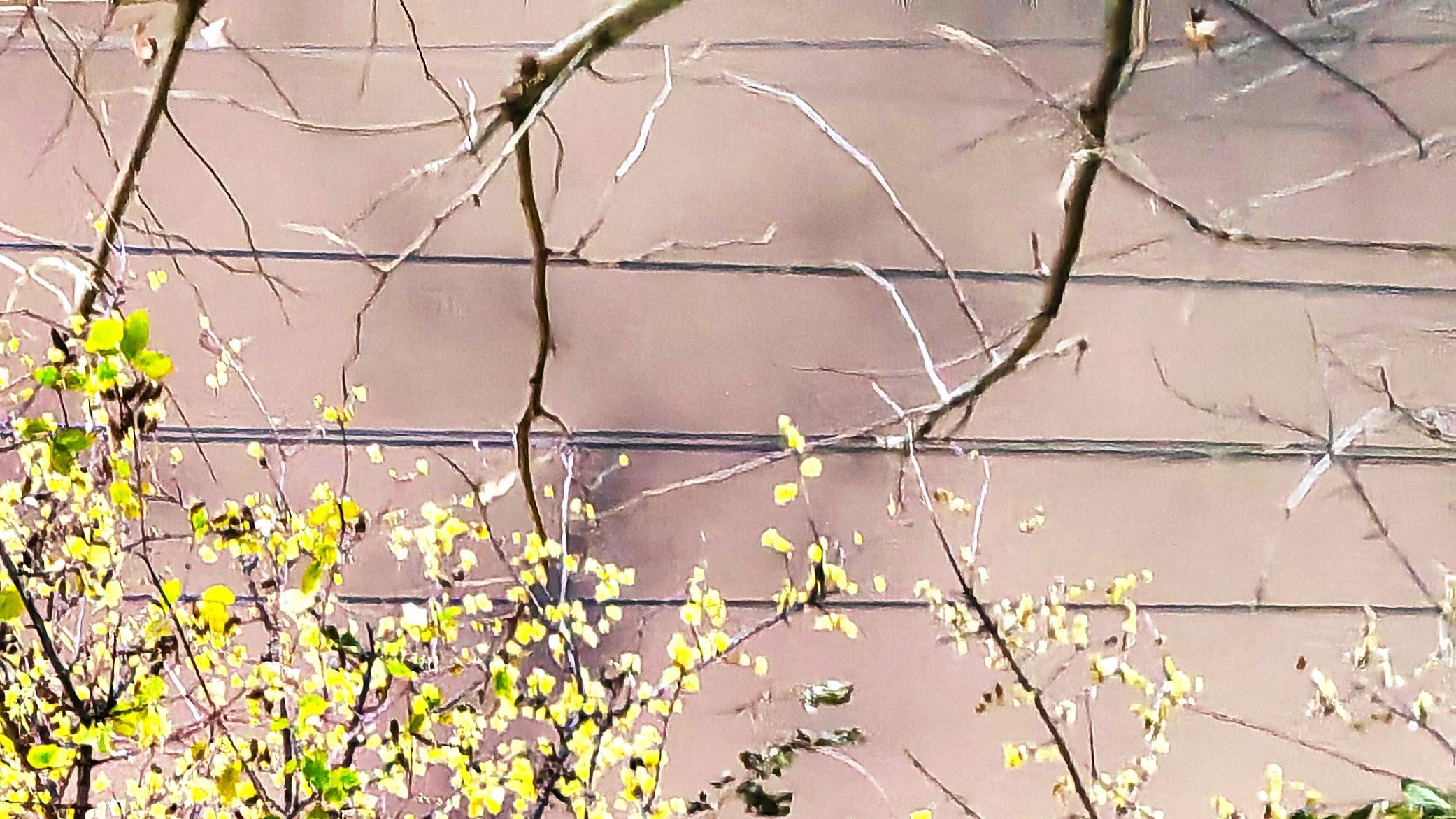 人在职场：好好讲话，也能破防？