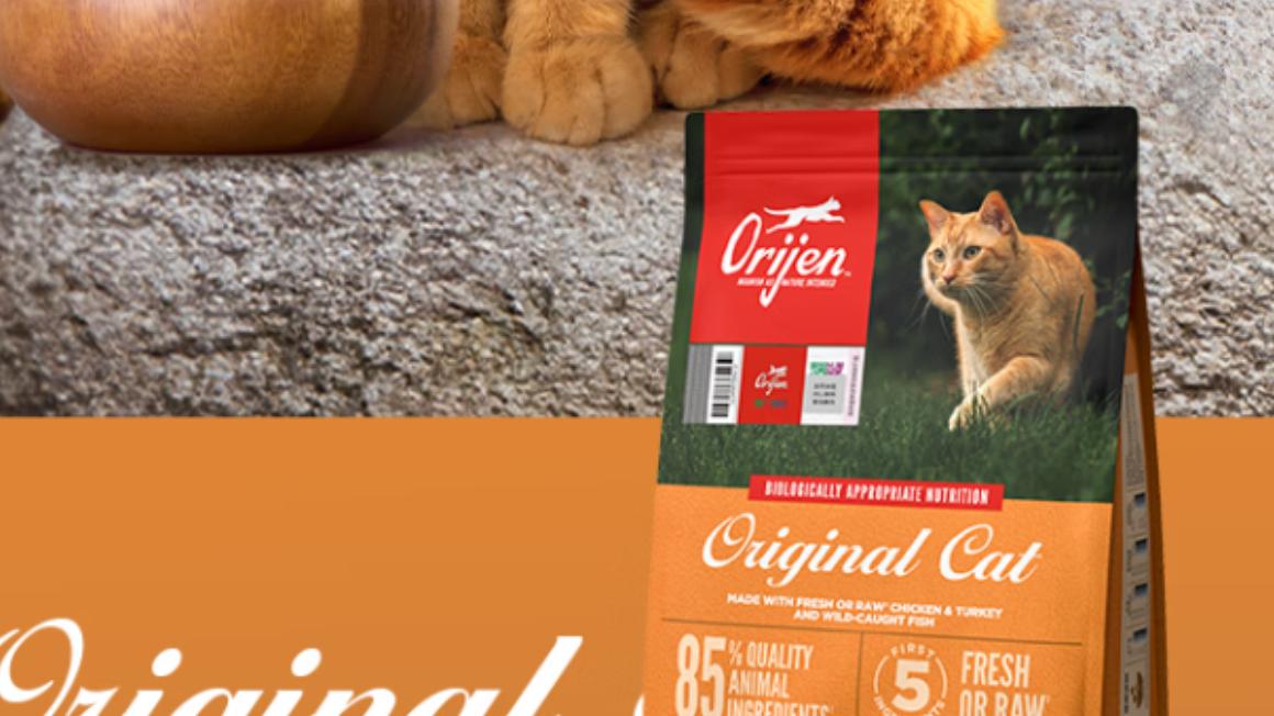 猫可以吃狗粮吗？测评希喂、渴望、伯纳天纯猫粮哪款好值得推荐