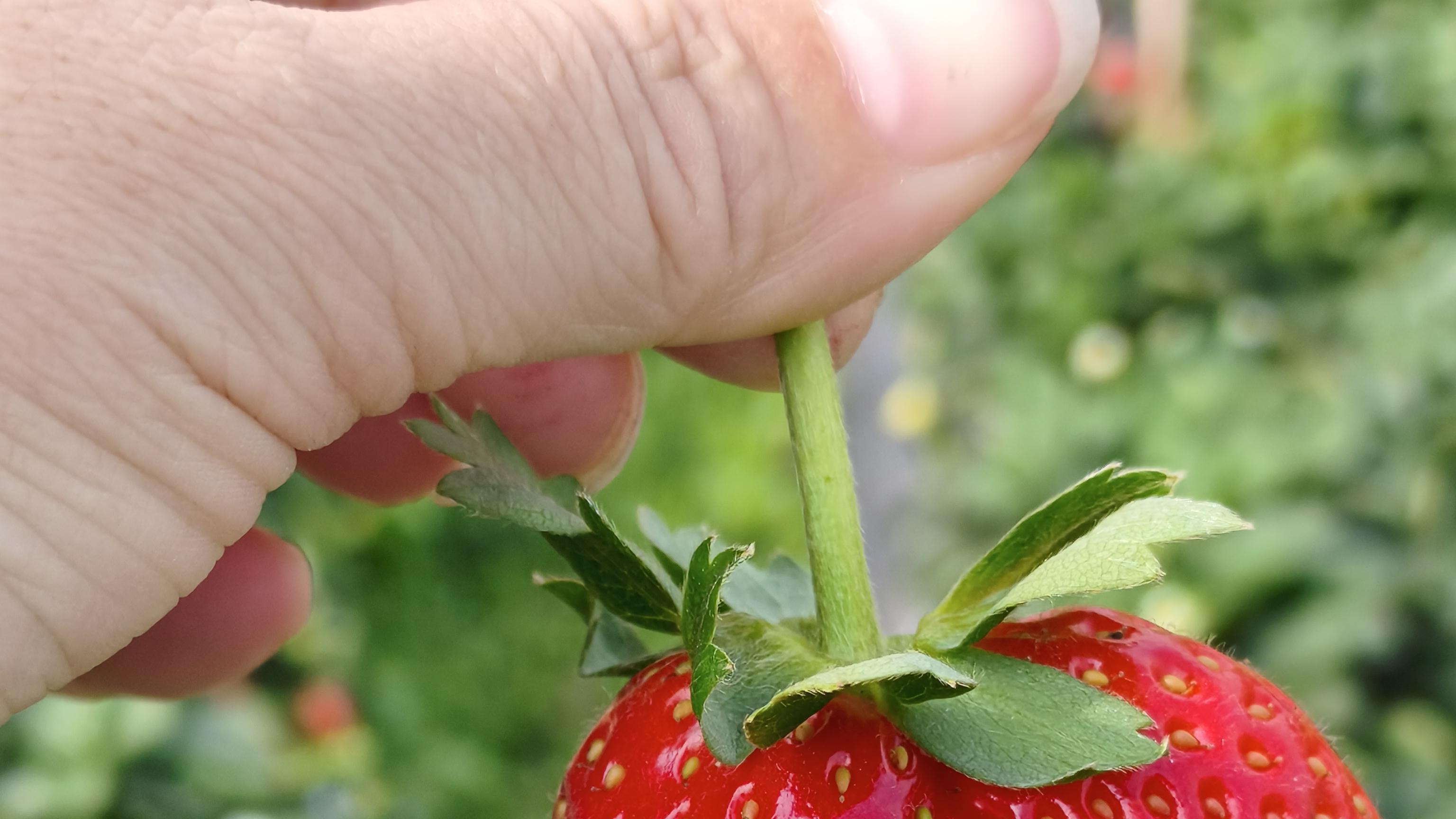 相亲相爱一家人，但没人说话