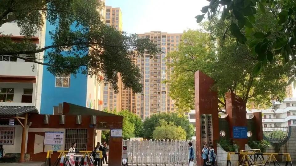 人口出生率创新低，越来越多小学开始停招