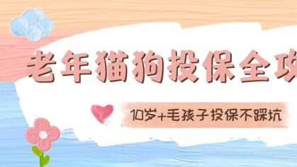 老年猫狗投保全攻略：10岁+毛孩子投保不踩坑
