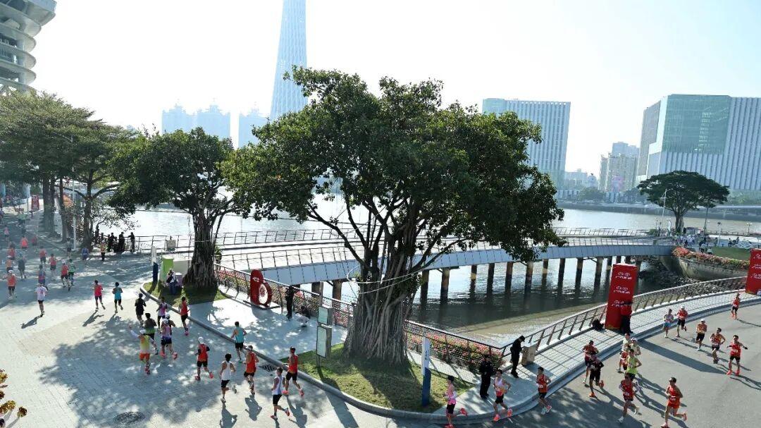 年度巨献 | 过去一年，马拉松的那些江湖风云