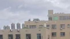 厦门八旬老人持权证维权 20 年 3.5 亩承包地争议四次督办未解决