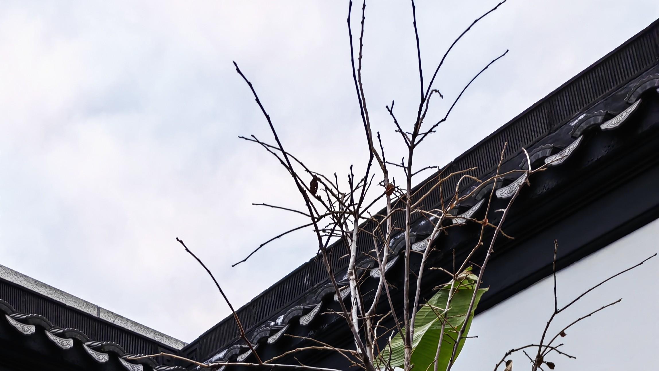 专业能力之外，多一丢丢人情世故