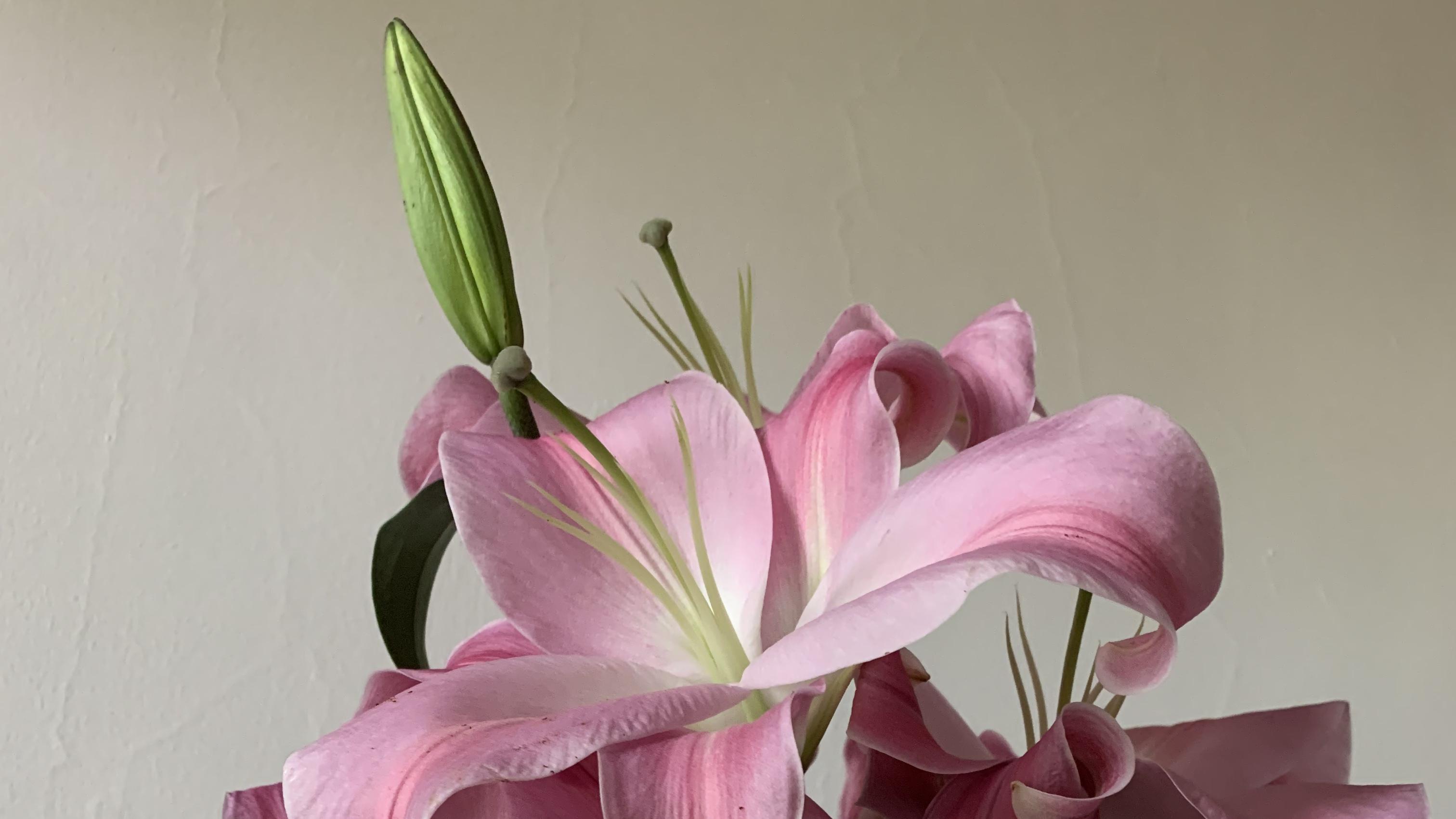 忧郁症风水及调整