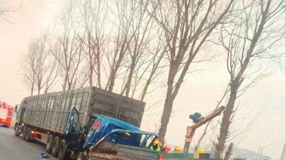 辽宁葫芦岛市交通事故 复核维持原认定 当事人为养家恳请依法核查