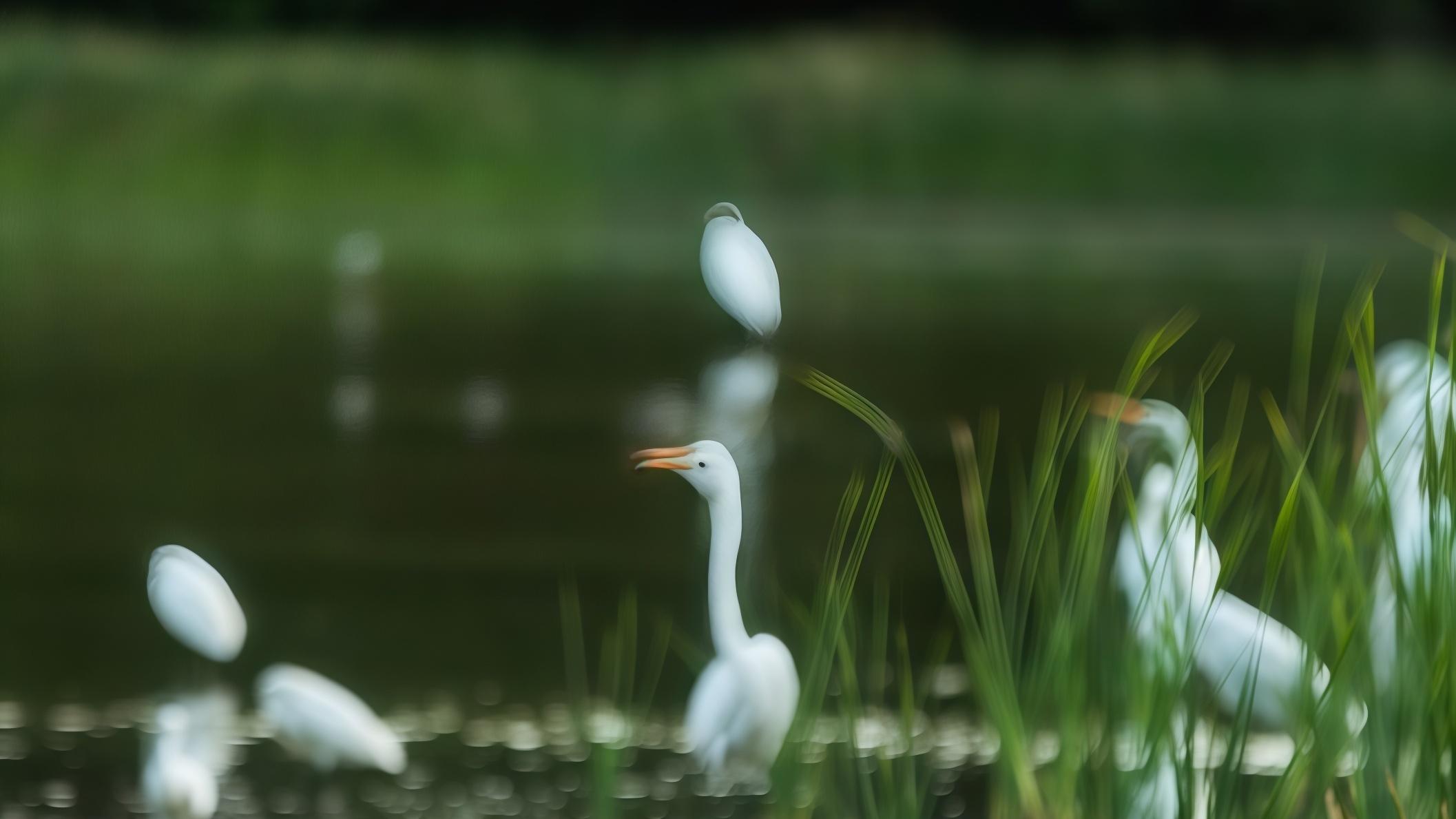雄安建了九年，为什么还有人觉得"没动静"