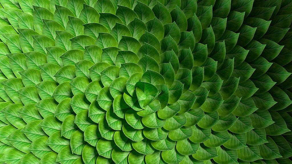 壳公司不是洗白机，但英国差点成了