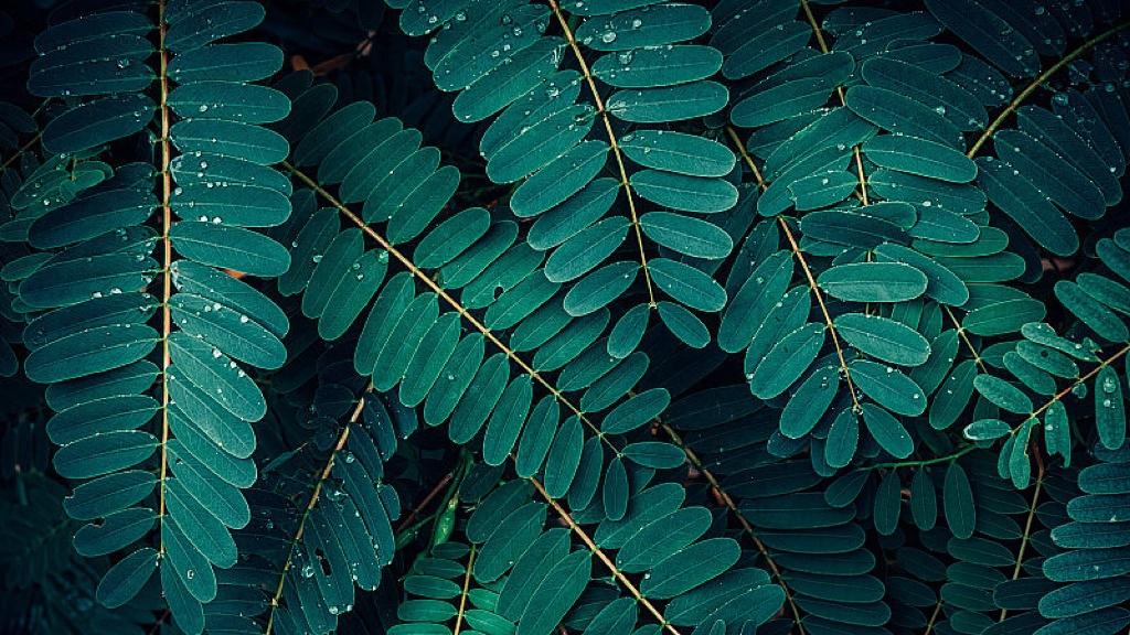 539项国家标准上线，蕴中国产业升级暗语