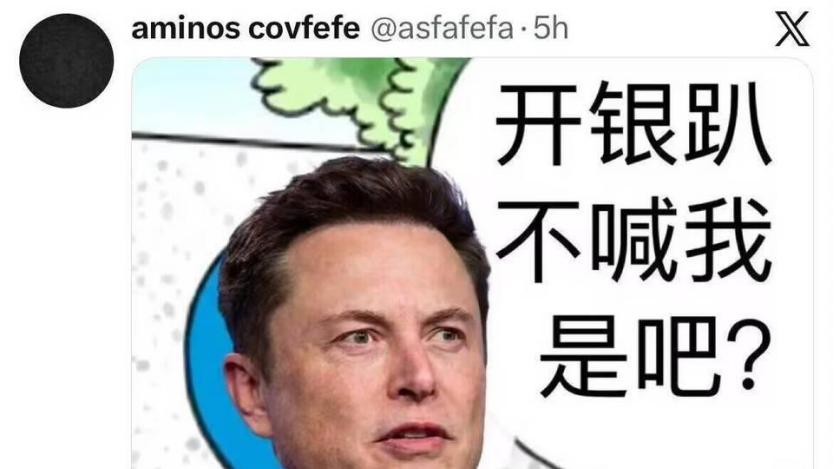 拒绝邀请马斯克上岛，看来技术宅即使成了首富依然没有性张力